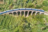 Russian tourist dies in Sri Lanka after leaning out of train for photo