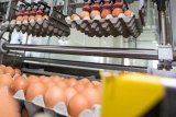 Azerbaijan’s poultry exports make historic entry into U.S. market amid egg crisis