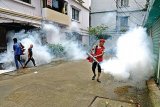 3 more die of dengue