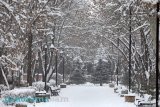 Snow to persist in parts of Armenia