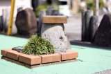 Japan park recognized as world’s smallest park by Guinness World Records