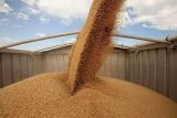 Kazakhstan sees increase in grain export to Azerbaijan