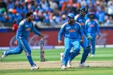 India's spin ploy pays off