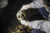 Bihar police arrest two for stealing human skulls from graveyard for black magic