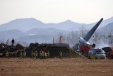 Bird Hit, Gear Glitch, Belly Landing: Chain Of Events In South Korea Crash