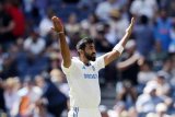 4th Test, Live: Bumrah, Siraj Eye More Wickets; 6-Down Aus Struggle vs India