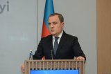 Aktau plane crash causes must be fully investigated and disclosed - Azerbaijani FM