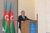 Azerbaijani-Georgian discussions see formation of fiber optic lines among key issues - FM