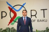 Baku Port poised for significant cargo traffic growth - department head (Exclusive interview)