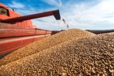 Kazakhstan increases grain exports to Azerbaijan, sets record for transportation