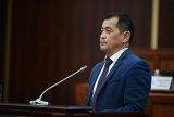 Kyrgyz parliament approves new minister of health