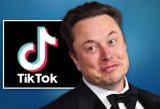 China considers selling Tik Tok to Elon Musk