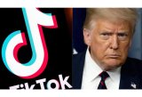 Trump considers preventing Tik Tok from being blocked in US