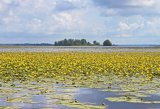 Swedish Government reduces funding for aquatic ecosystem protection program