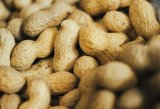 Uzbekistan increases peanut exports