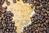 Brazil's coffee stocks are declining