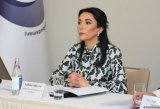 Kazakh-Azerbaijani ombudspersons establish working group following plane crash