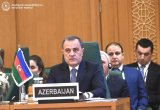 Azerbaijani FM delivers speech at extraordinary meeting of OIC Foreign Ministers (PHOTO)