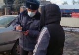 В 2024 году под колесами авто погибли 254 человека. ГУОБДД начало рейд "Пешеход"