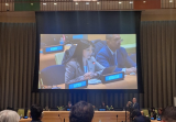 MP Sevil Mikayilova highlights expansion of Azerbaijan's non-oil exports at UN hearings