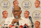 After Uddhav, Sharad Pawar says INDIA bloc's role 'only at national level' ahead of local body polls