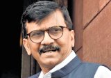 Sanjay Raut meets Shah, denies joining hands with BJP