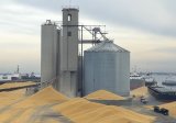 Kazakhstan bolsters exports of grain to Tajikistan