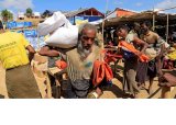 WFP halves food ration for Rohingyas