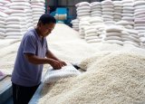 Azerbaijan's rice import expenses grows in 11M2024