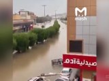 Улицы священных городов Мекки и Медины ушли под воду