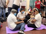 DSWD taps ‘Dr. Dogs’ to help in healing of abused children, PWDs