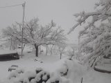 Snow blankets Iran's Fars province