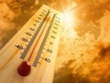 ‘Global heating a cold fact’: 2024 hottest yr on record, says UN weather agency