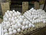 Agri chief urges steps to avert possible egg shortage in April