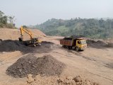 Assam government detects 220 illegal coal mines, judicial probe ordered into mine tragedy