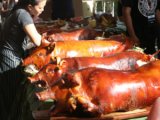 Cebu City assures public of enough 'lechon' supply