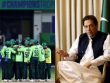 Cricket Will Be Destroyed: Imran Khan's Verdict From Jail On Pak's Exit