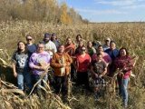 White Corn Harvesting at SRMT's Agriculture Gardens