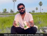 Influencer Throws Notes On Highway For 'Money Hunt' Challenge, Arrested