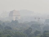 SC pulls up Centre for making environmental laws 'toothless', says penalty provision not implemented