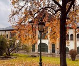 Autumn beauties in Niavaran Palace