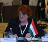 Hungary's tax and customs administration representatives plan to visit Azerbaijan's Baku