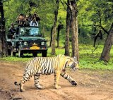 Ranchi Diary | Four zoo safaris across wildlife sanctuaries