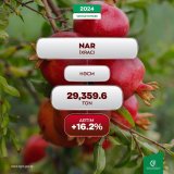 Azerbaijan reveals volume of pomegranate exports abroad