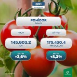 Azerbaijan sees growth in tomato export revenues