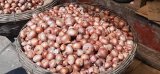 Consumers in a tight spot as onion costs spike