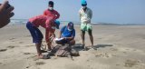 70 turtles found dead on Cox’s Bazar beach