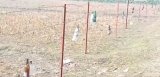 BSF hangs glass bottles on Dahagram border fence, locals concerned