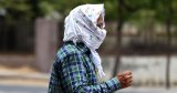 Tamil Nadu declares heat waves a state-specific disaster, announces Rs 4 lakh ex-gratia for deaths