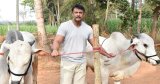 Karnataka moves SC against bail for actor Darshan Thoogudeepa in murder case